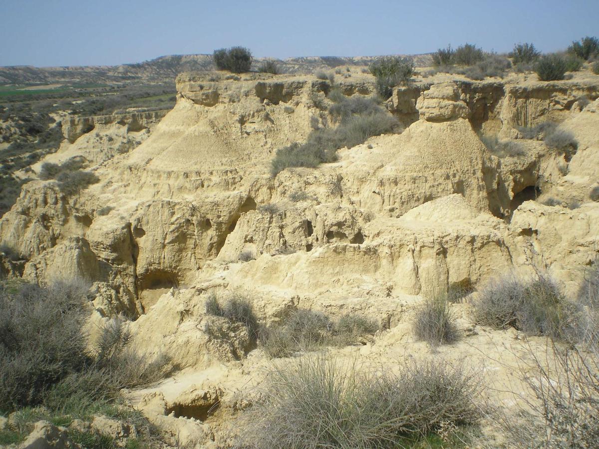 Vila El Pinar De Bardena Carcastillo Exteriér fotografie