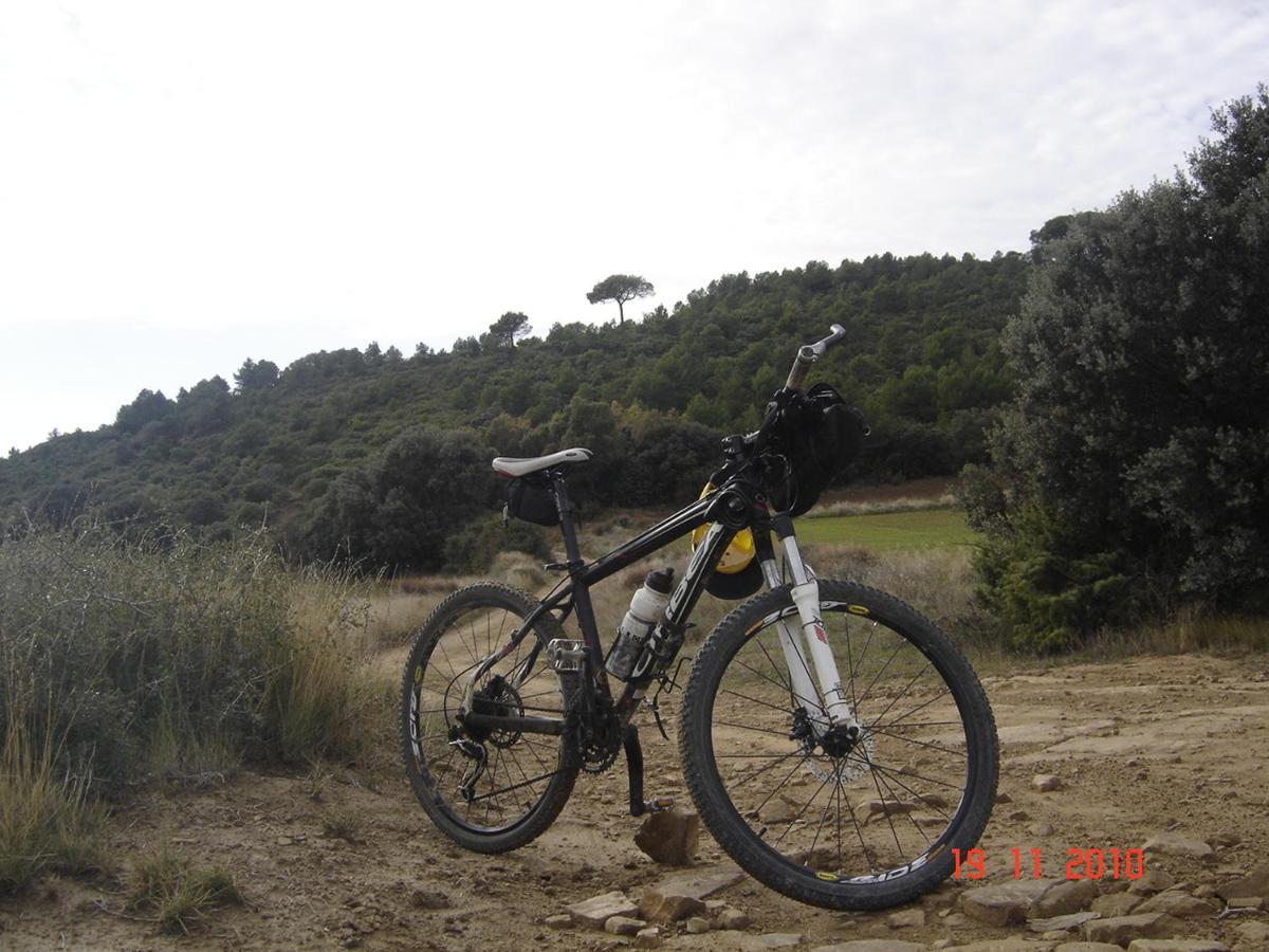 Vila El Pinar De Bardena Carcastillo Exteriér fotografie