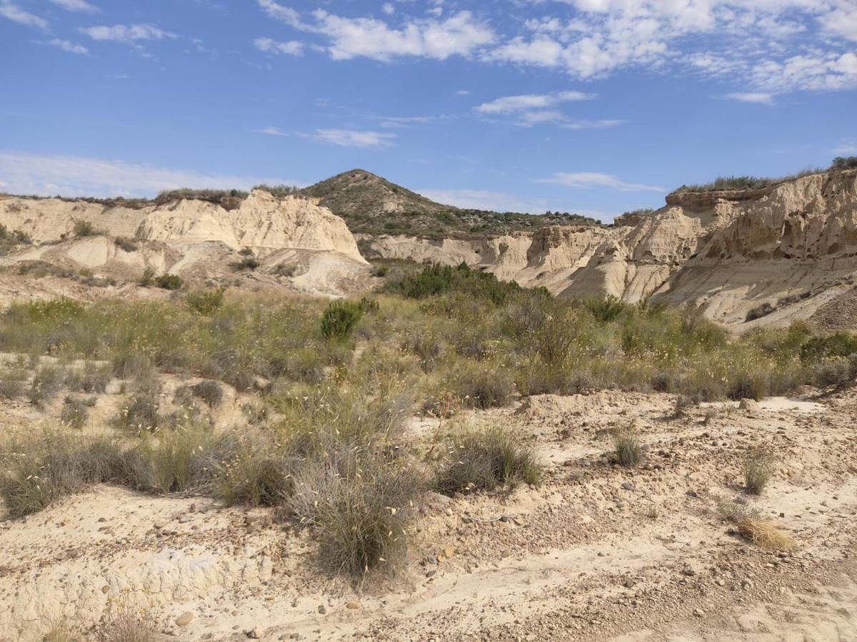 Vila El Pinar De Bardena Carcastillo Exteriér fotografie
