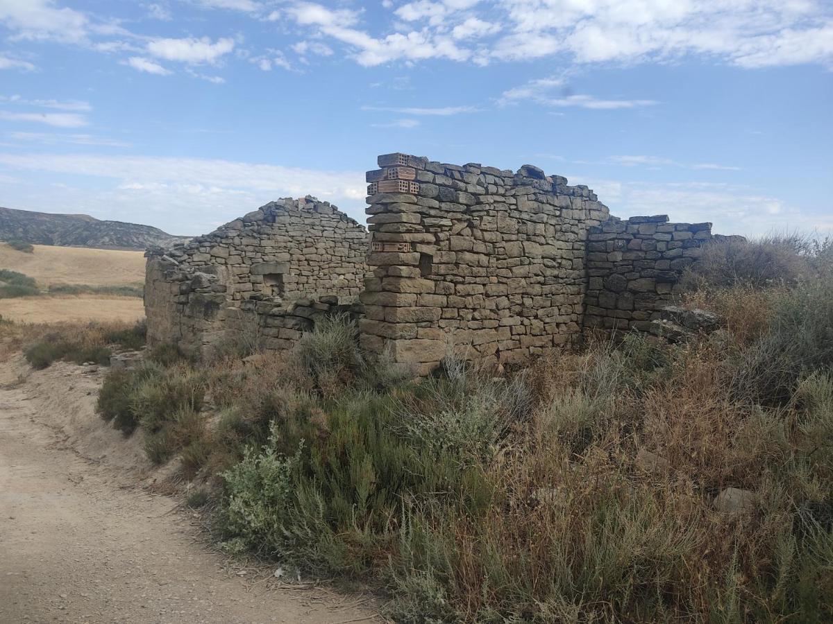 Vila El Pinar De Bardena Carcastillo Exteriér fotografie