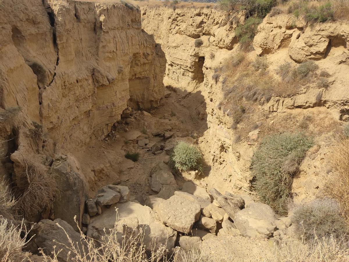 Vila El Pinar De Bardena Carcastillo Exteriér fotografie