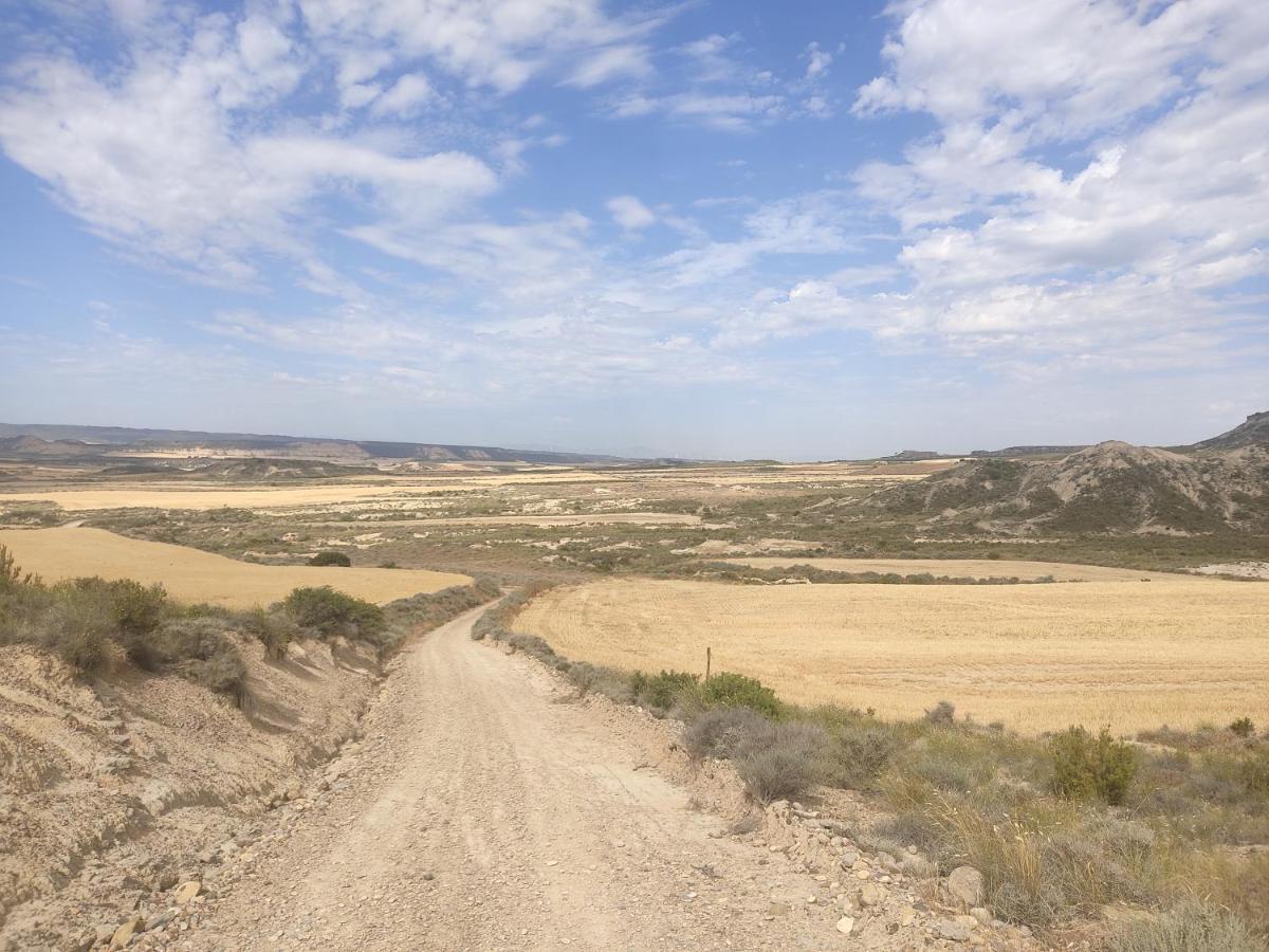 Vila El Pinar De Bardena Carcastillo Exteriér fotografie