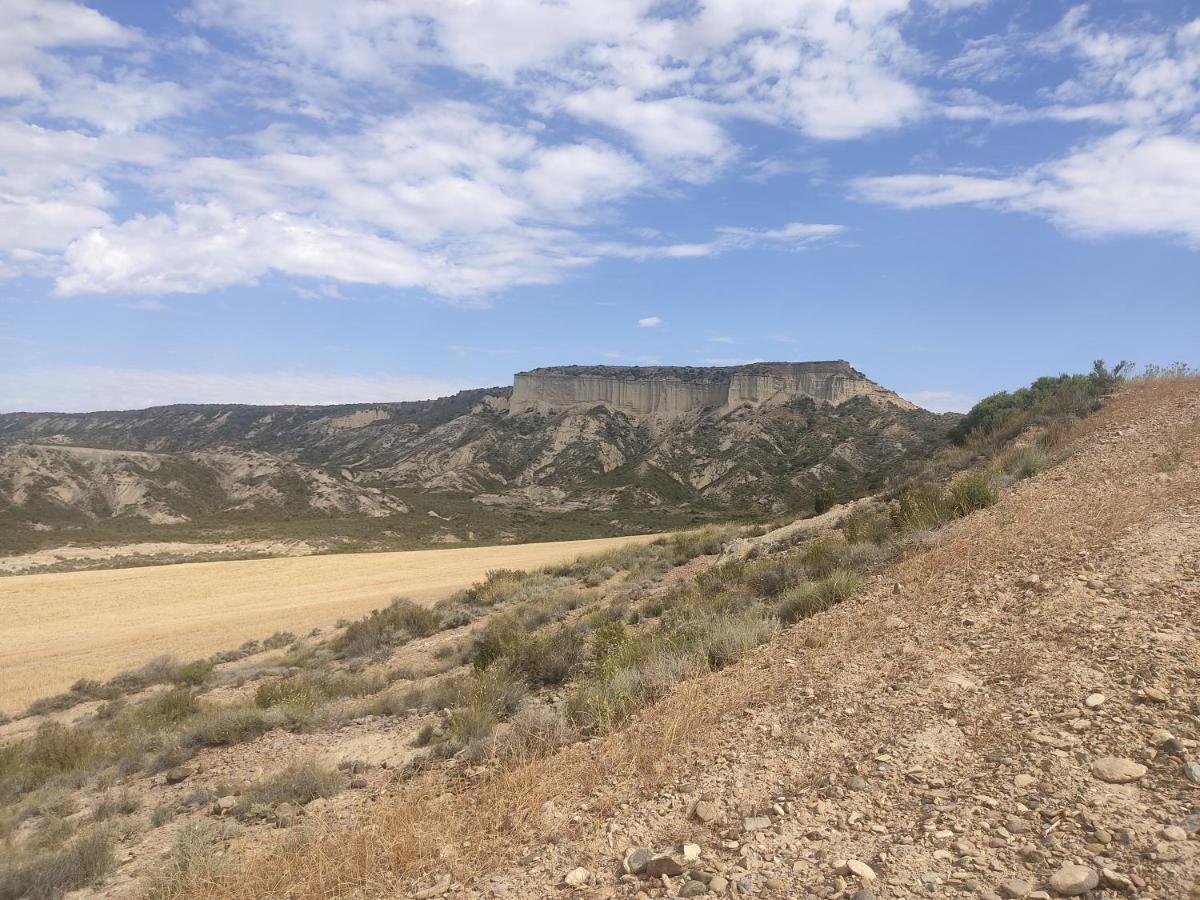 Vila El Pinar De Bardena Carcastillo Exteriér fotografie