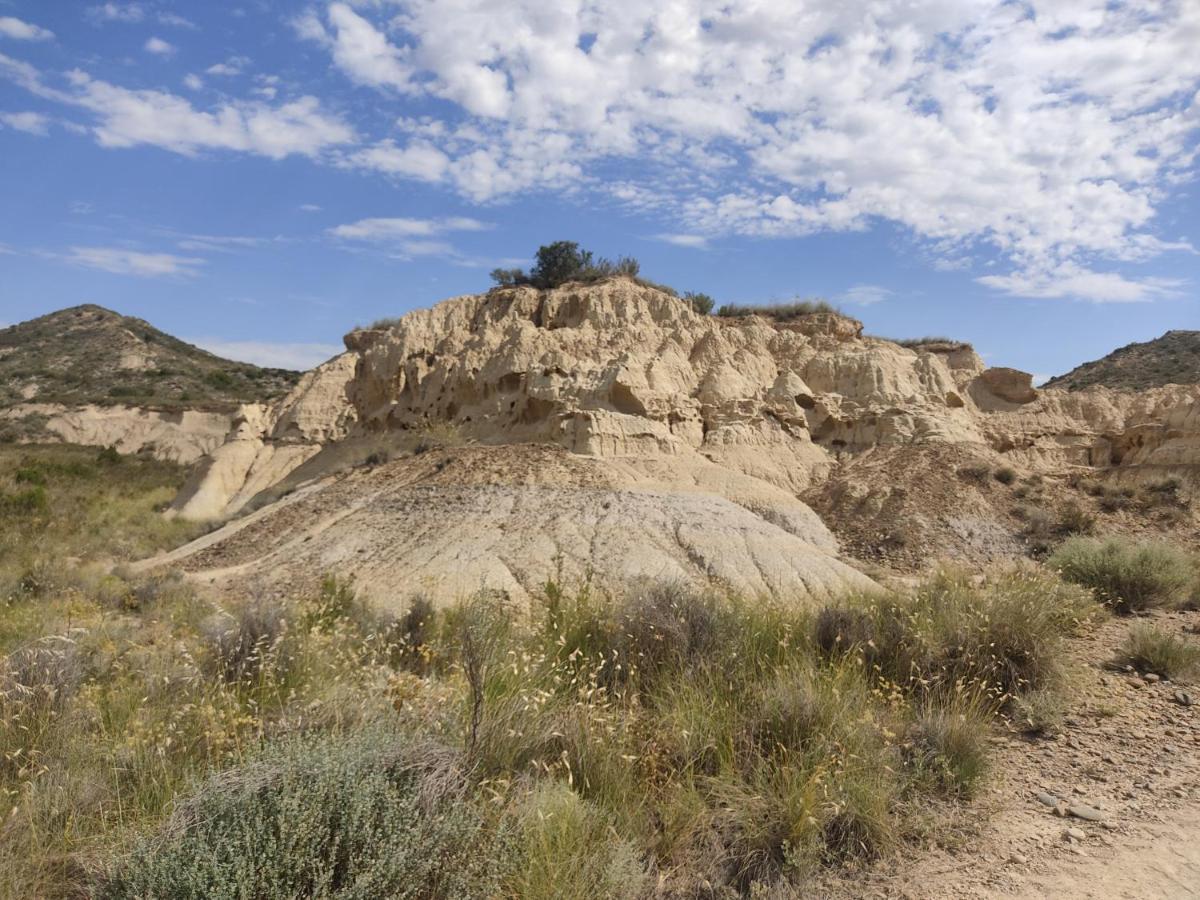 Vila El Pinar De Bardena Carcastillo Exteriér fotografie
