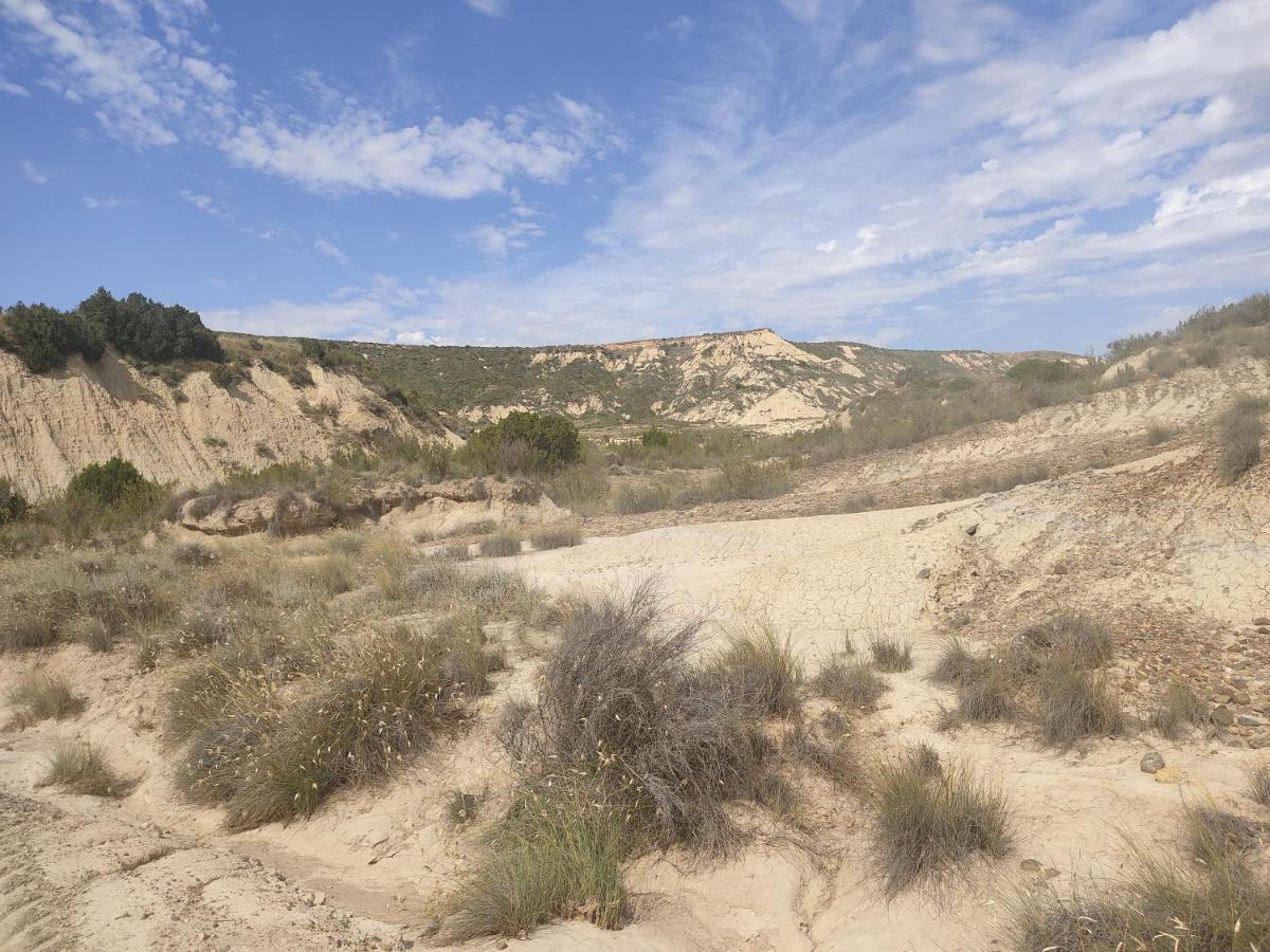 Vila El Pinar De Bardena Carcastillo Exteriér fotografie